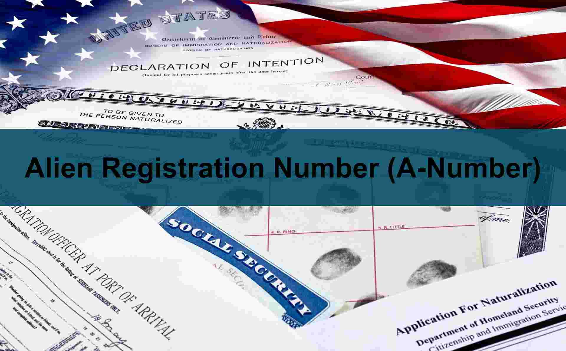 Alien Registration Number (A-Number): Your Immigration Identification ...